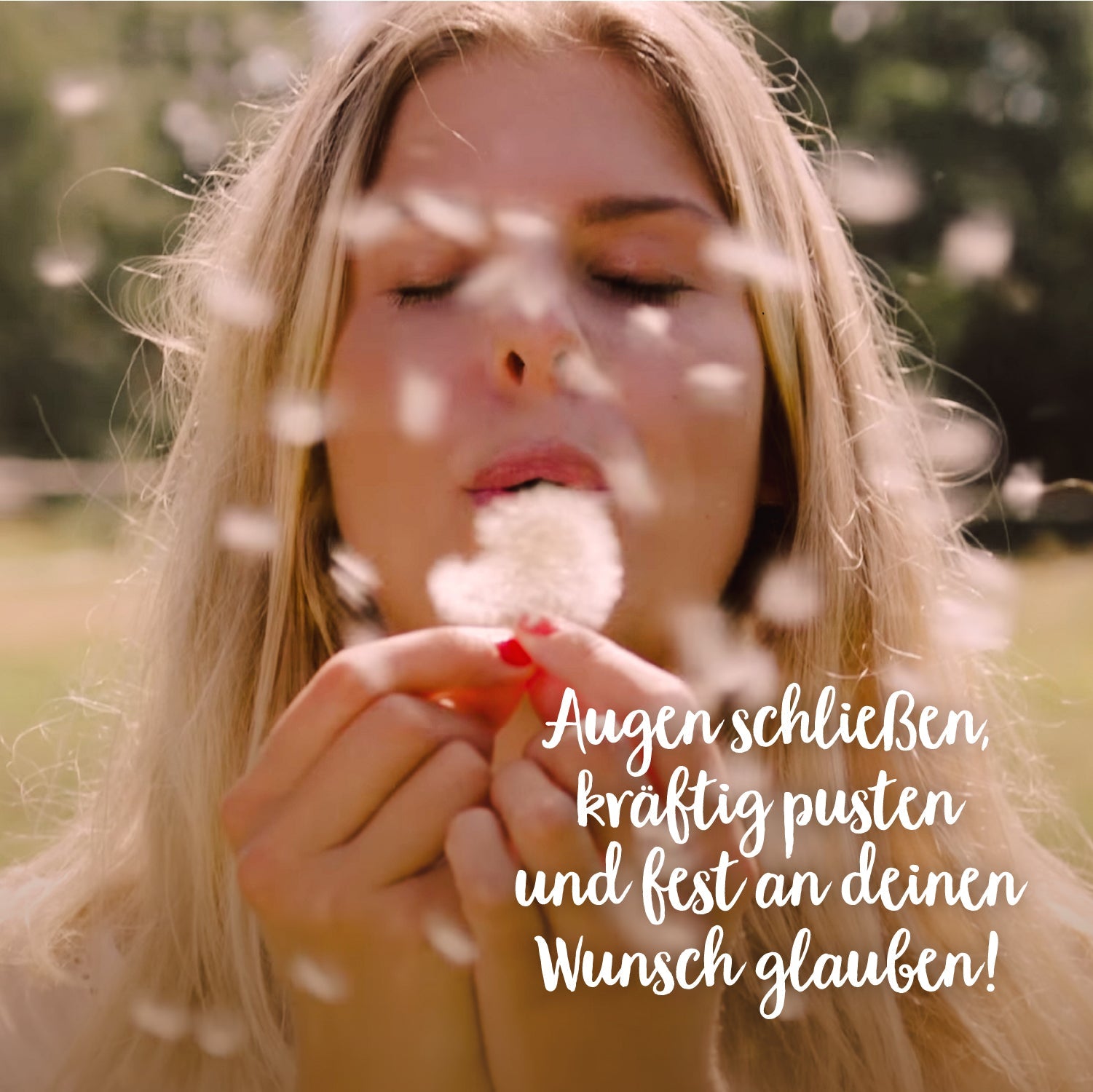 Kleiner Wunscherfüller